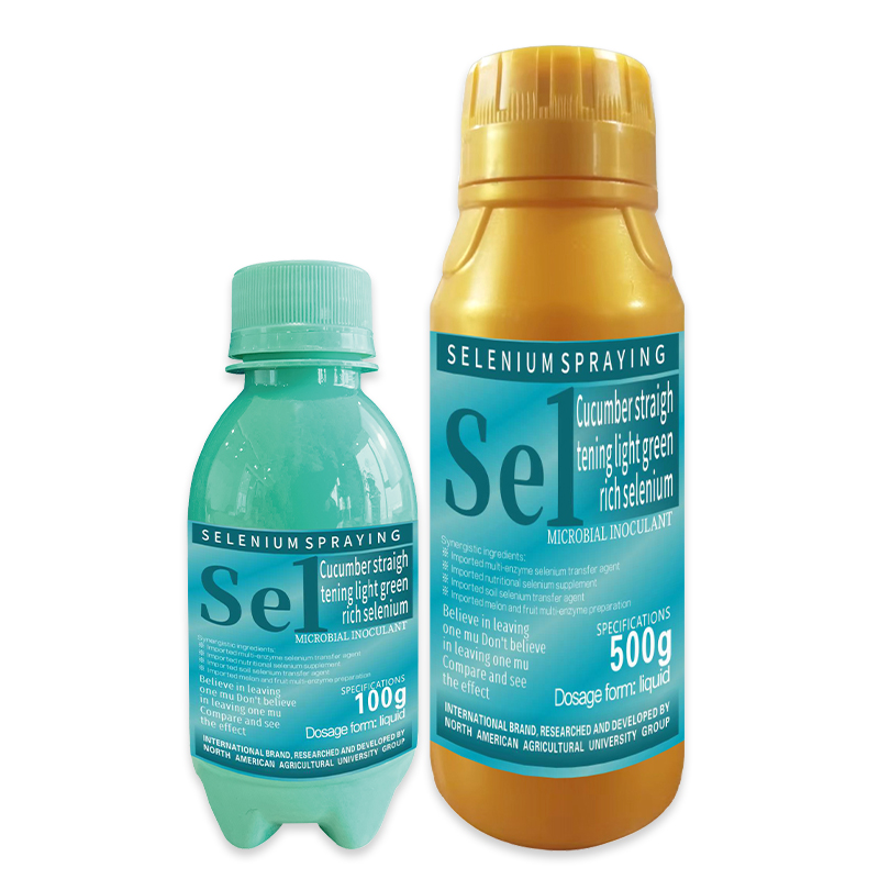 英文北美黃瓜嫩直增綠多硒噴硒1號100+500g