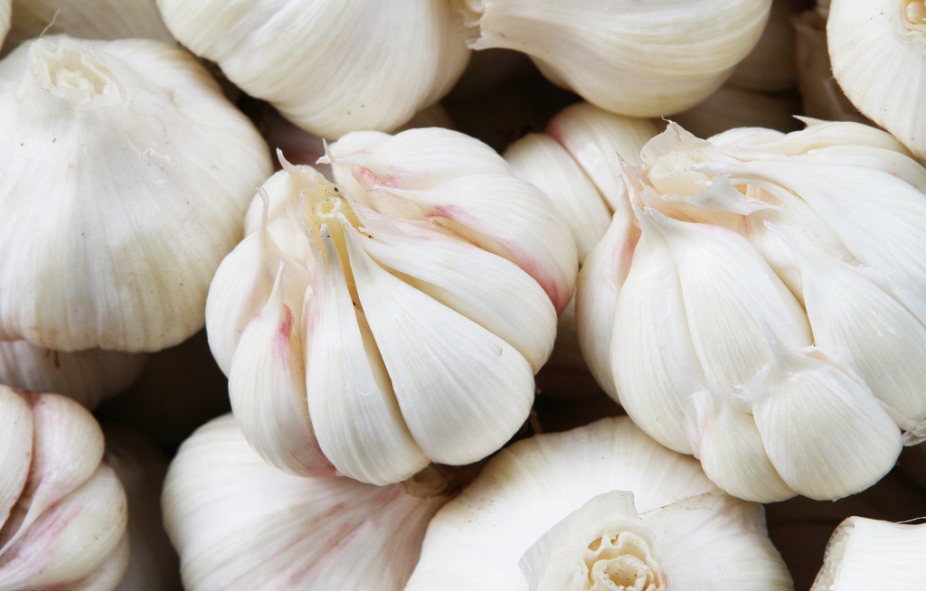 殺蟲劑，特效殺菌劑，沖施肥，生長調(diào)節(jié)劑，葉面肥，農(nóng)藥廠家