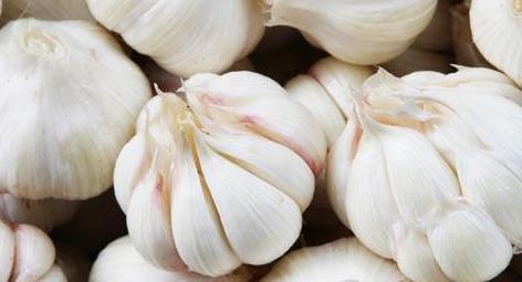 殺蟲劑，特效殺菌劑，沖施肥，生長調(diào)節(jié)劑，葉面肥，農(nóng)藥廠家