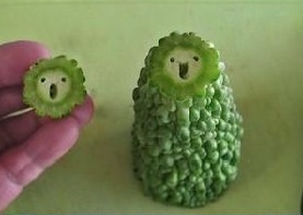 殺蟲劑，特效殺菌劑，沖施肥，葉面肥，植物生長調(diào)節(jié)劑，北美農(nóng)大集團