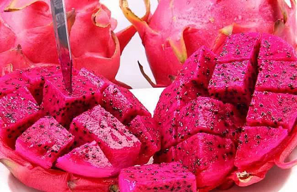 火龍果何時(shí)使用沖施肥？