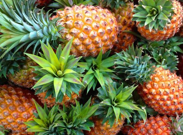 菠蘿沖施肥,葉面肥,水溶肥,液體肥,進(jìn)口水溶肥 菠蘿沖施肥,葉面肥,水溶肥,液體肥,進(jìn)口水溶肥