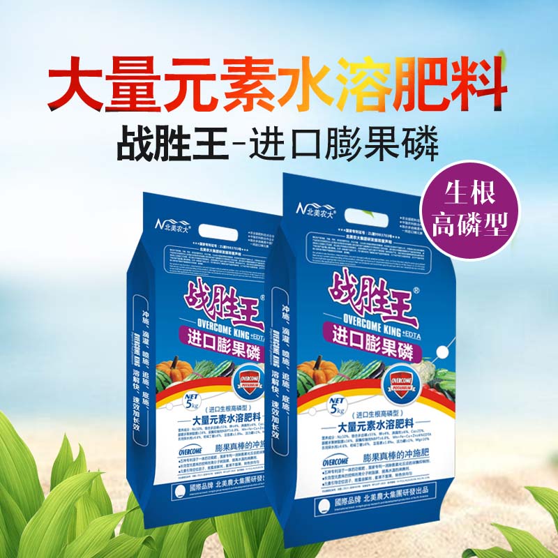 菠蘿沖施肥,葉面肥,水溶肥,液體肥,進(jìn)口水溶肥 菠蘿沖施肥,葉面肥,水溶肥,液體肥,進(jìn)口水溶肥